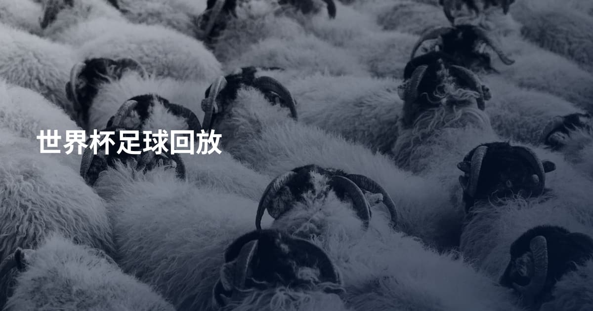 世界杯足球回放