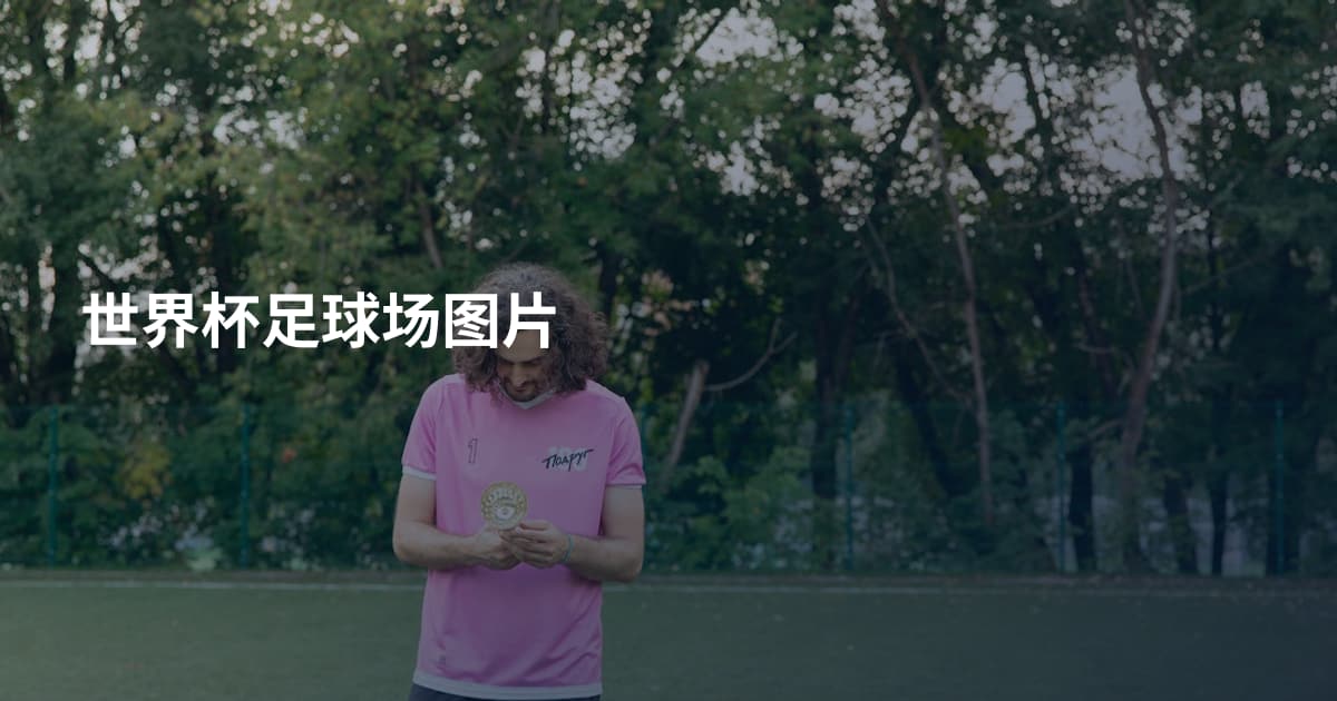 世界杯足球场图片
