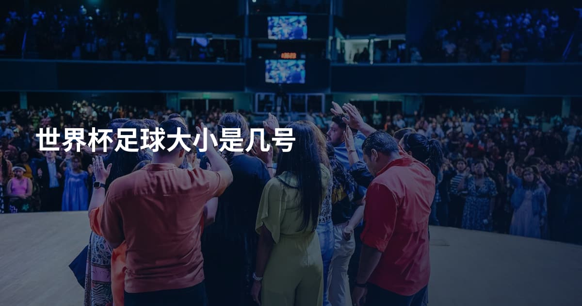 世界杯足球大小是几号