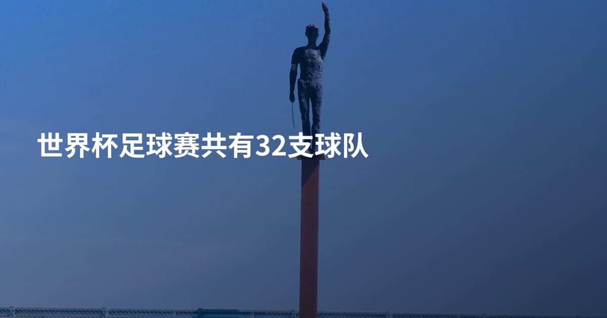 世界杯足球赛共有32支球队