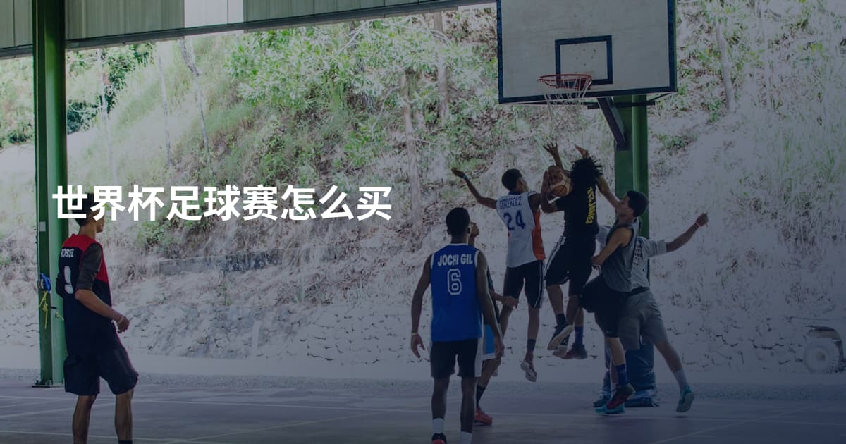 世界杯足球赛怎么买