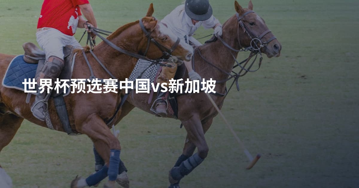 世界杯预选赛中国vs新加坡