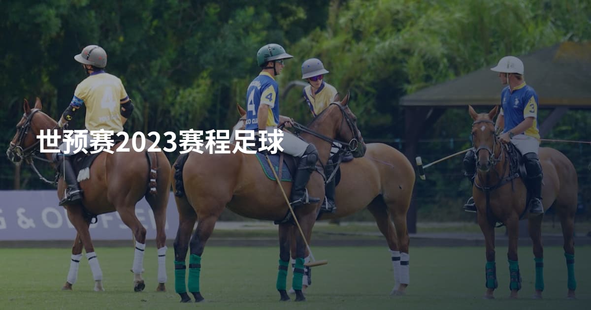 世预赛2023赛程足球
