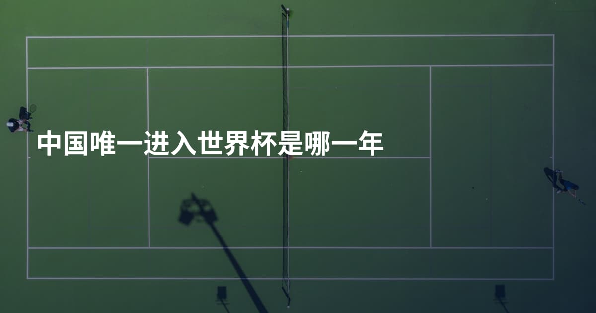 中国唯一进入世界杯是哪一年
