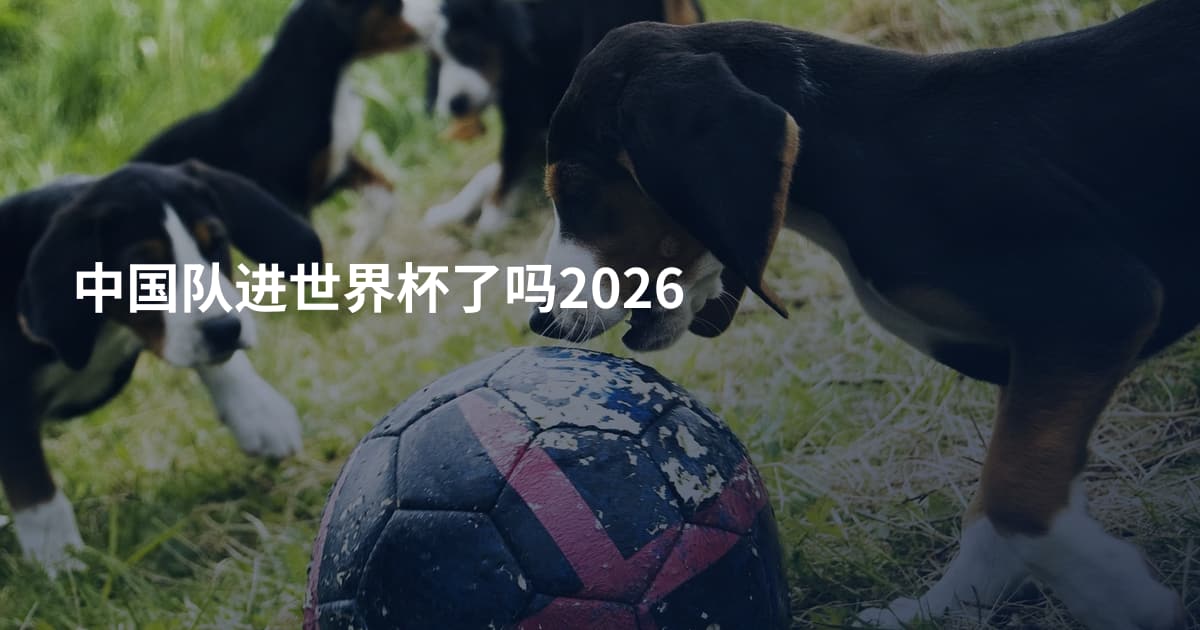 中国队进世界杯了吗2026