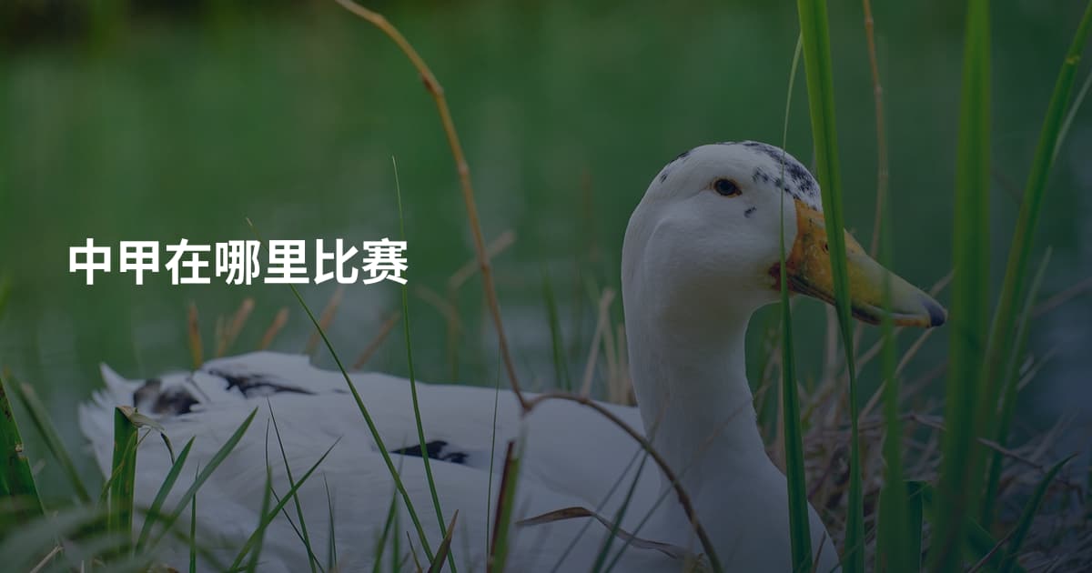 中甲在哪里比赛