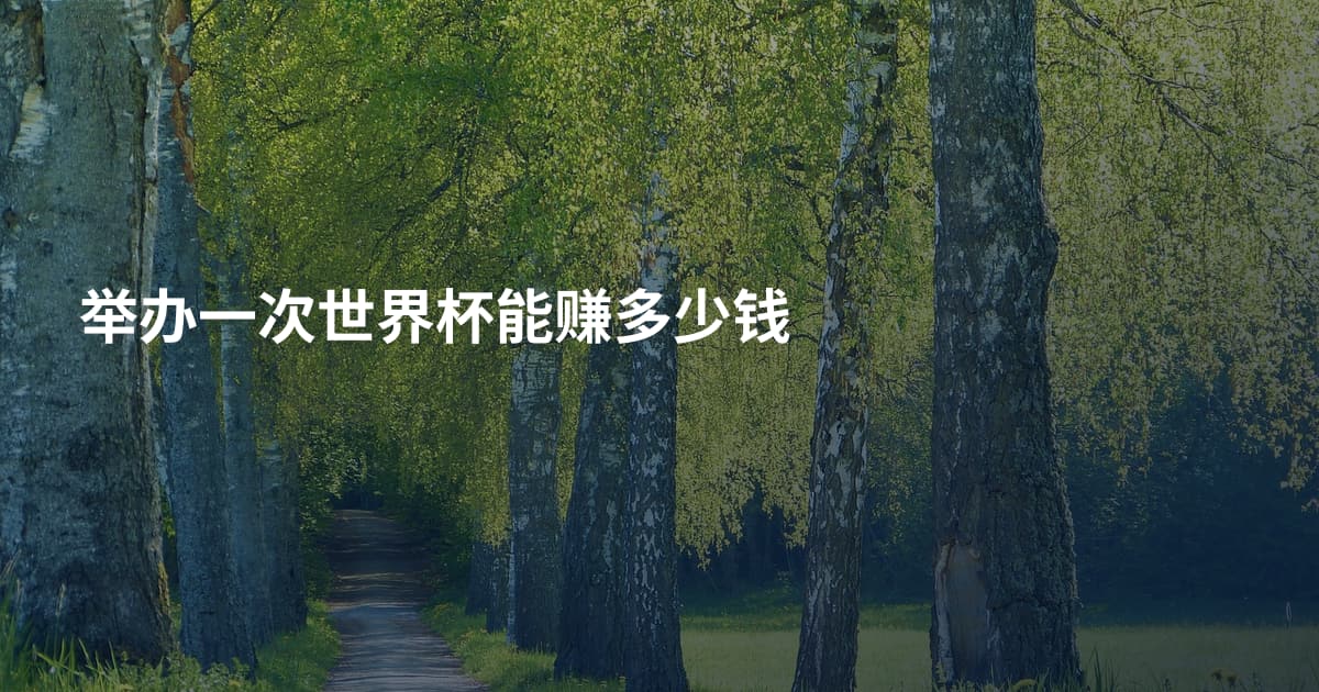 举办一次世界杯能赚多少钱
