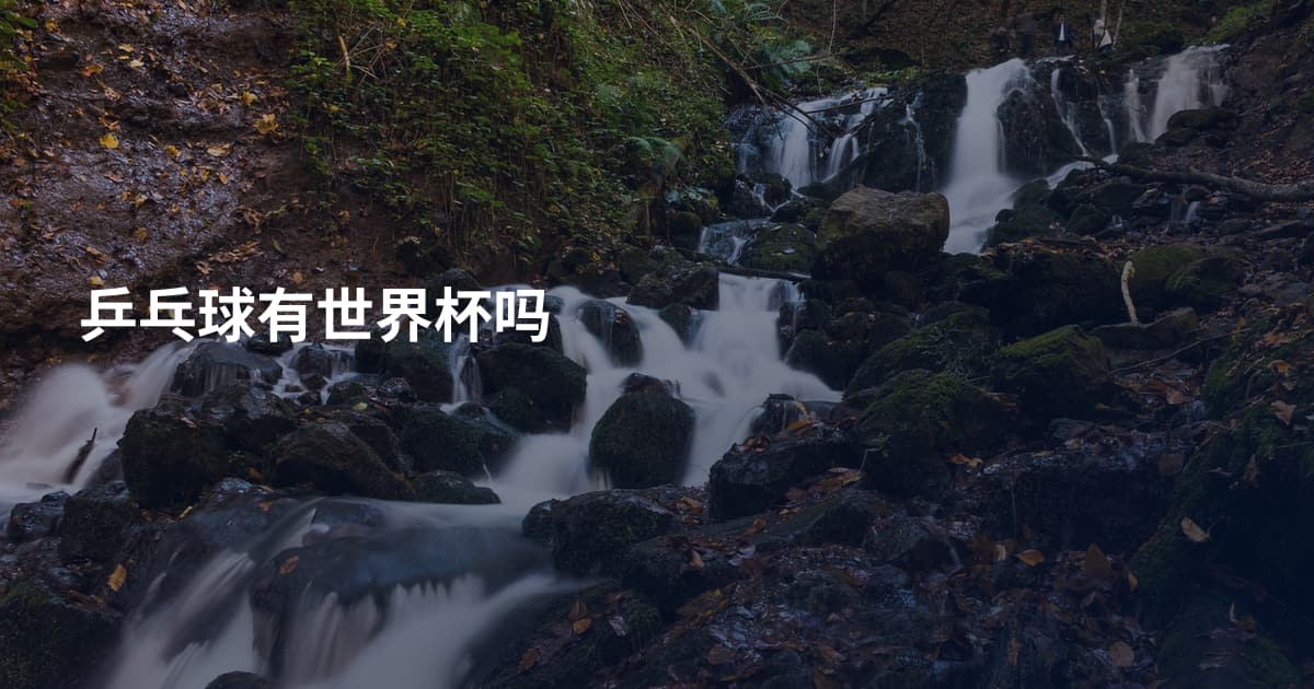 乒乓球有世界杯吗