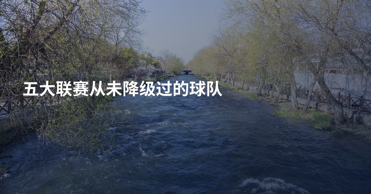五大联赛从未降级过的球队