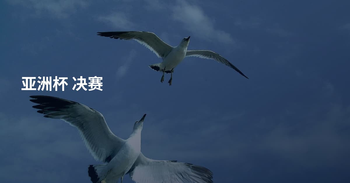 亚洲杯 决赛