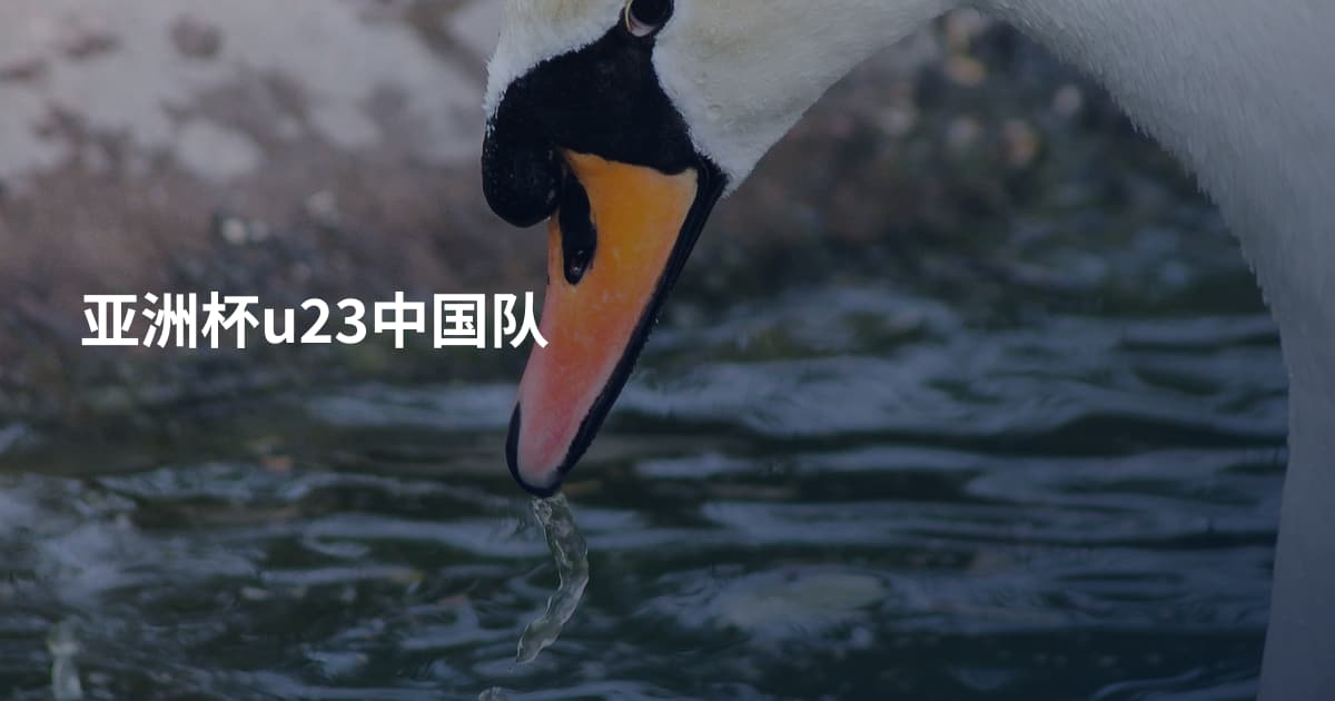 亚洲杯u23中国队