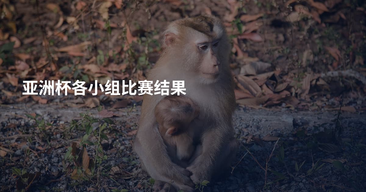 亚洲杯各小组比赛结果