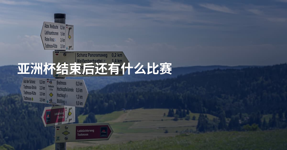 亚洲杯结束后还有什么比赛
