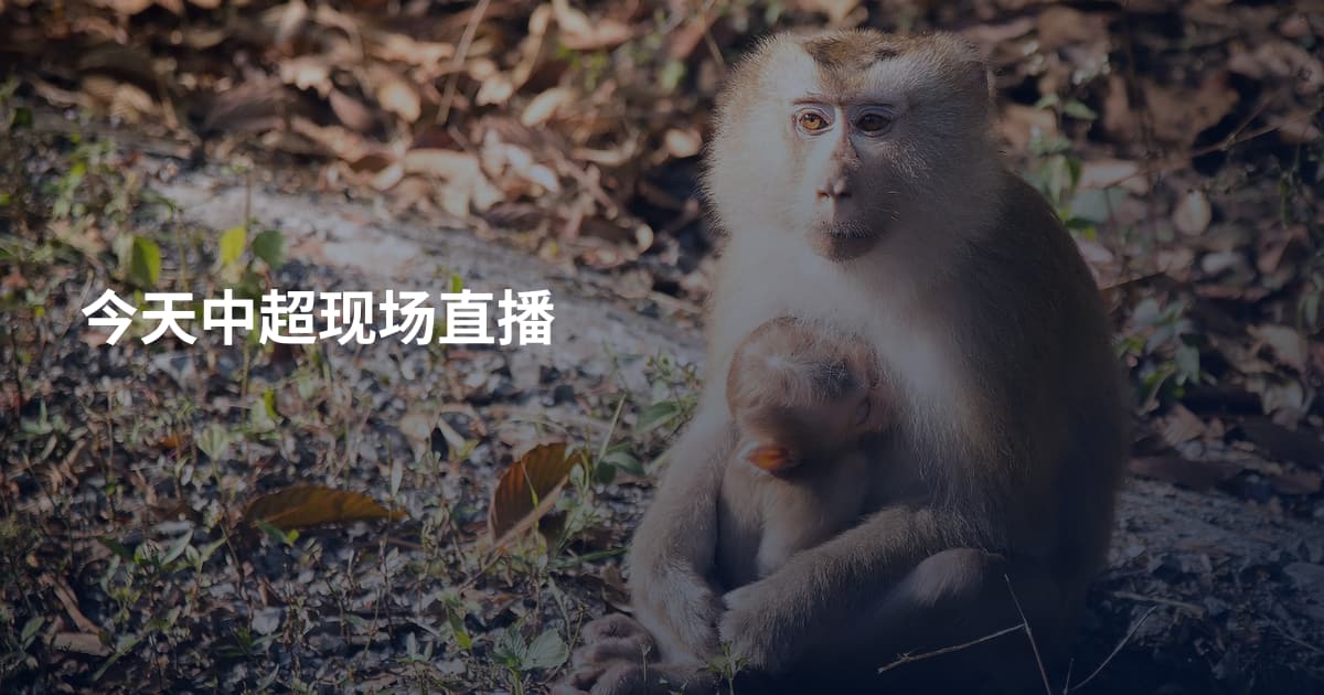 今天中超现场直播