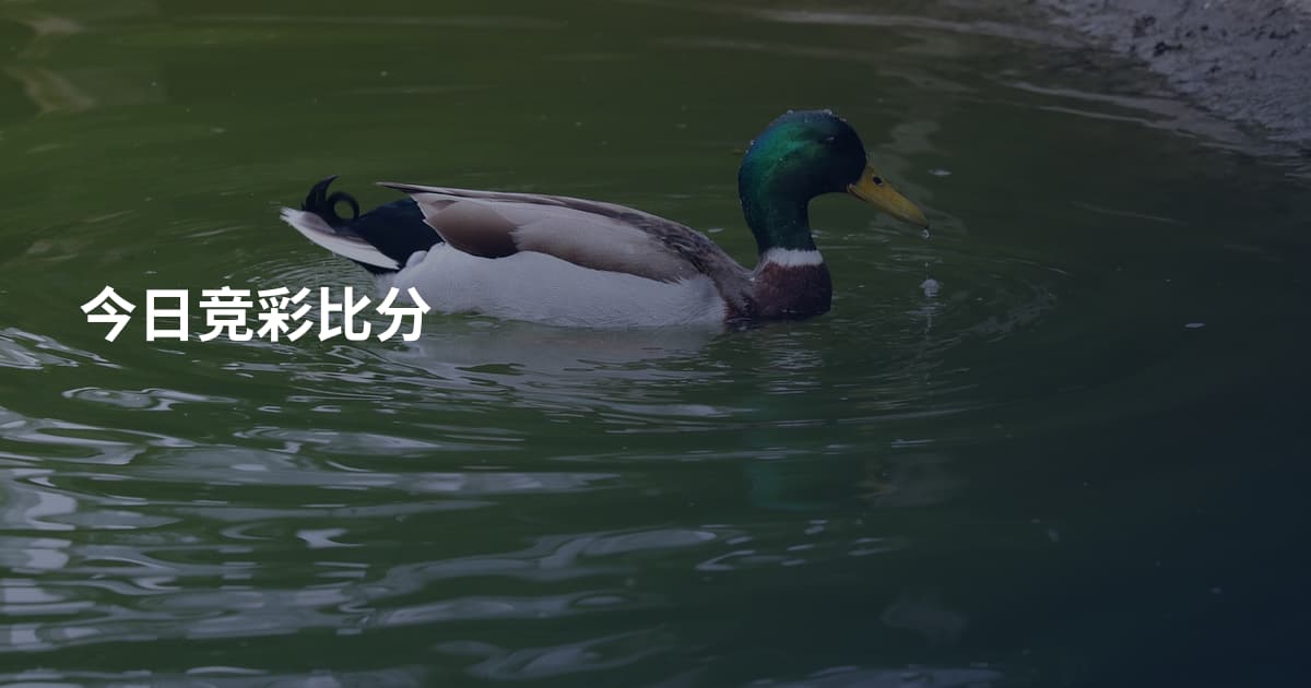 今日竞彩比分