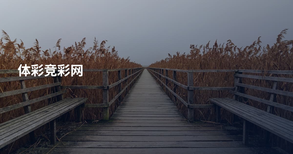体彩竞彩网
