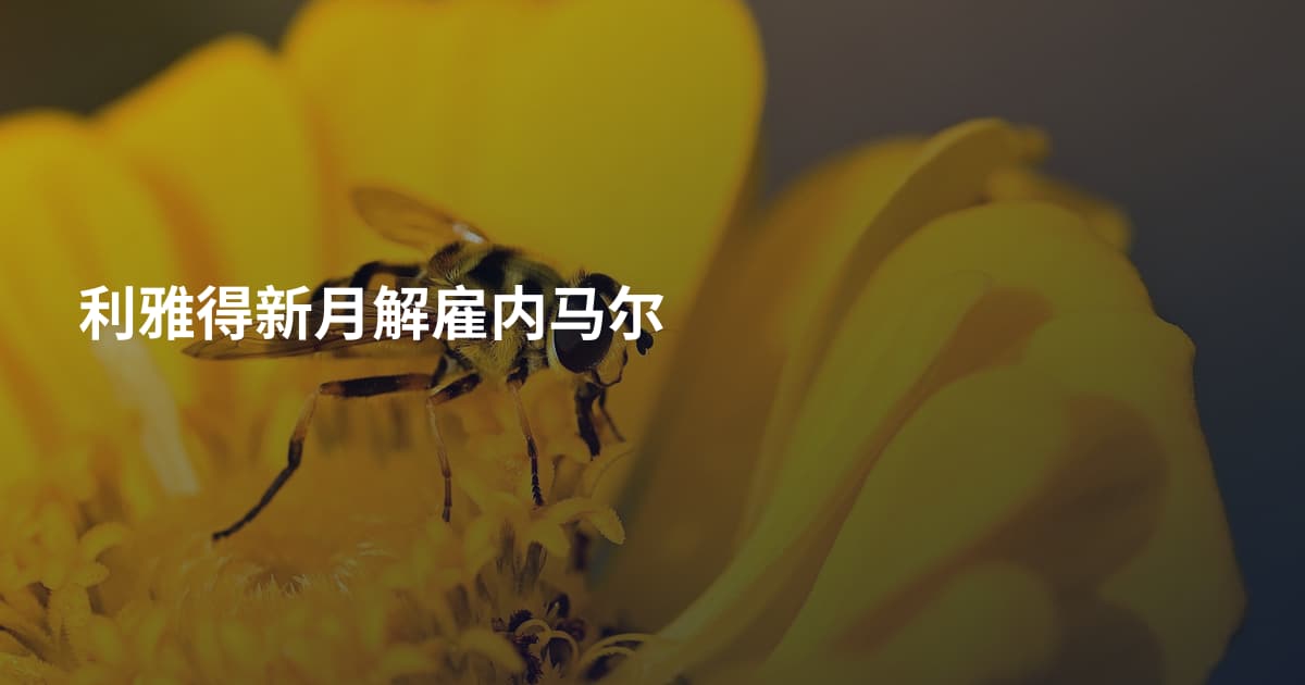 利雅得新月解雇内马尔