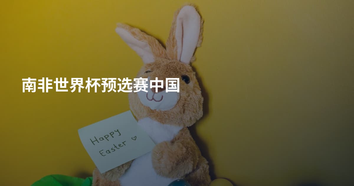 南非世界杯预选赛中国