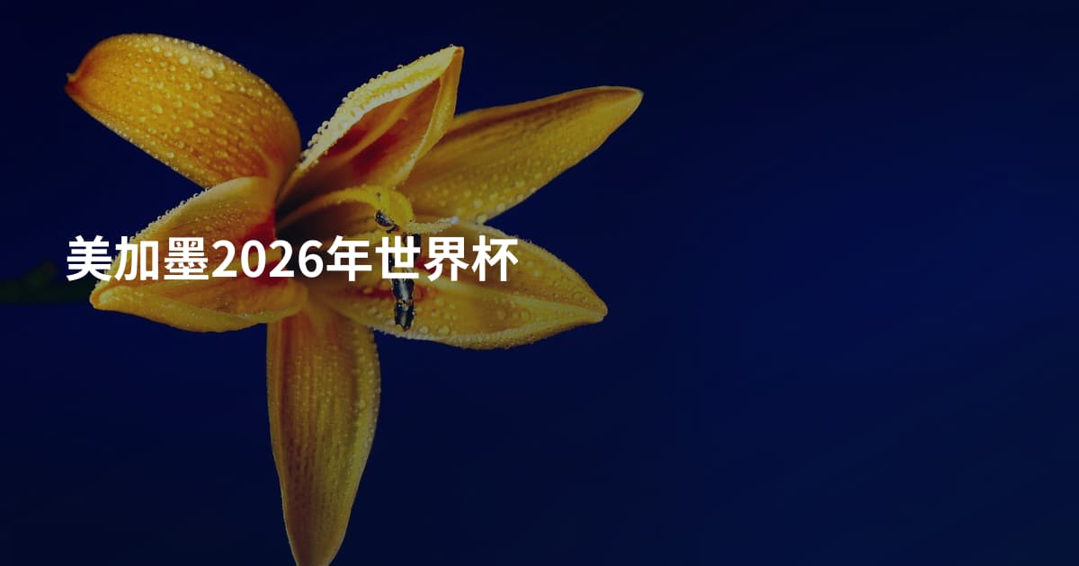 美加墨2026年世界杯