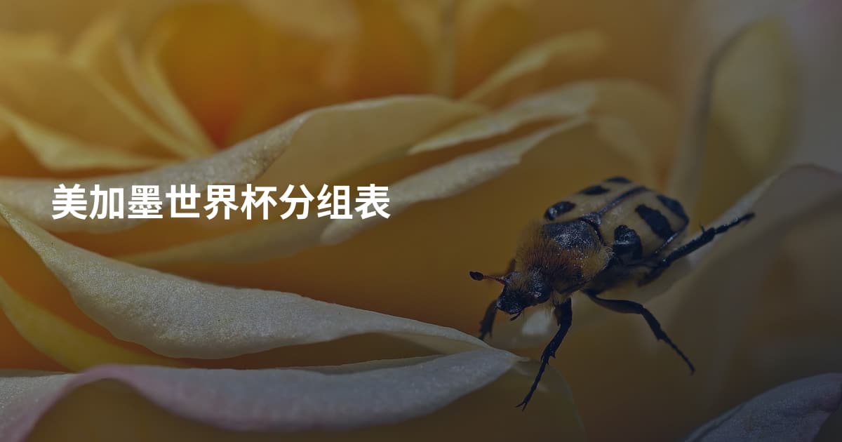 美加墨世界杯分组表