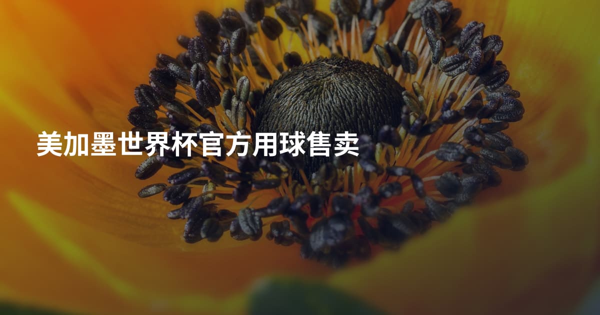 美加墨世界杯官方用球售卖