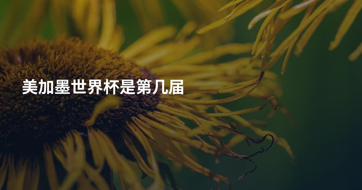 美加墨世界杯是第几届