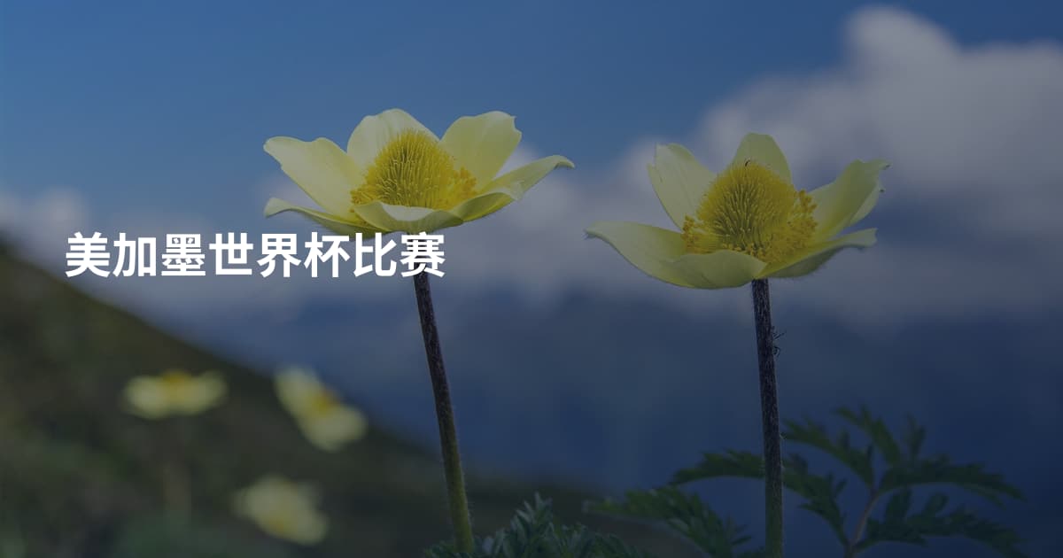 美加墨世界杯比赛