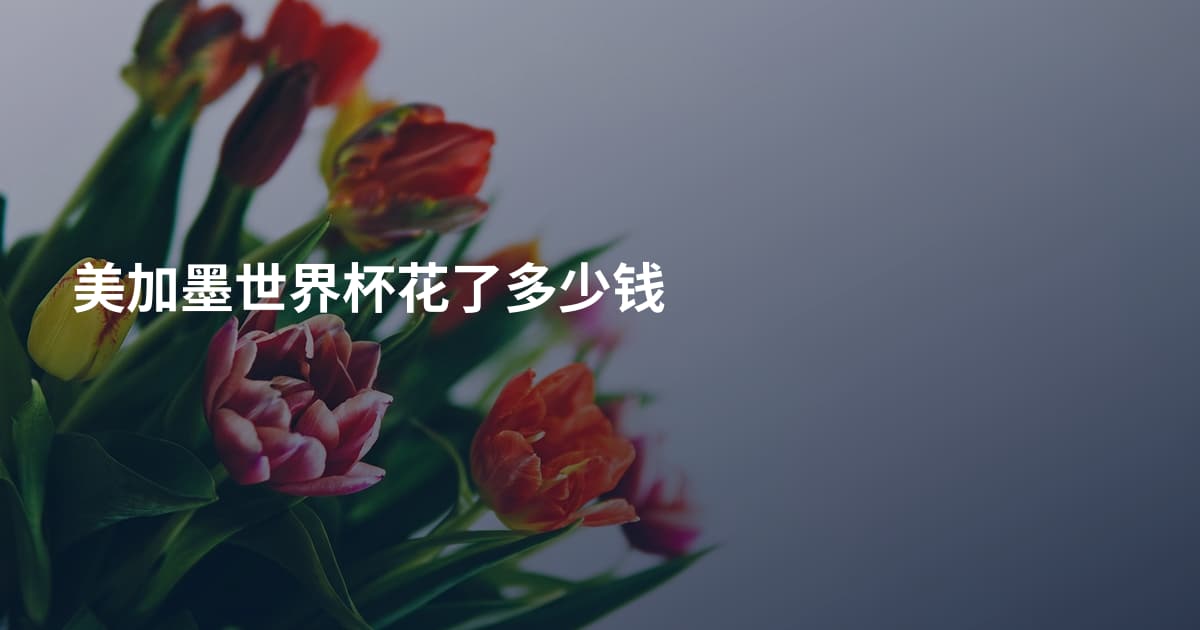 美加墨世界杯花了多少钱