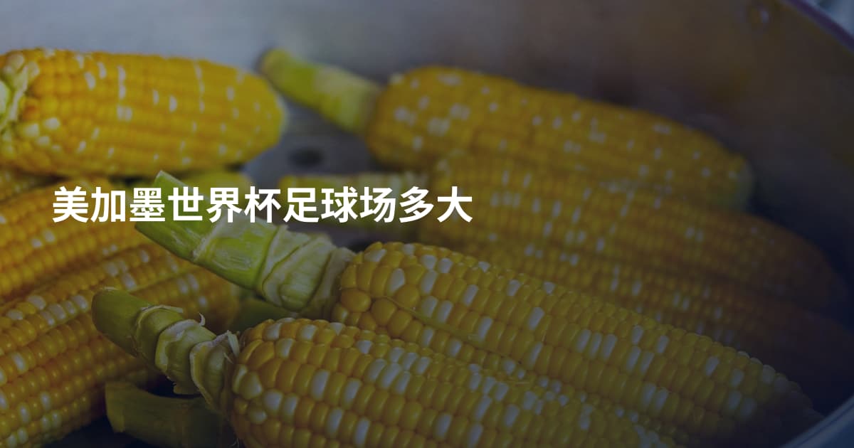 美加墨世界杯足球场多大
