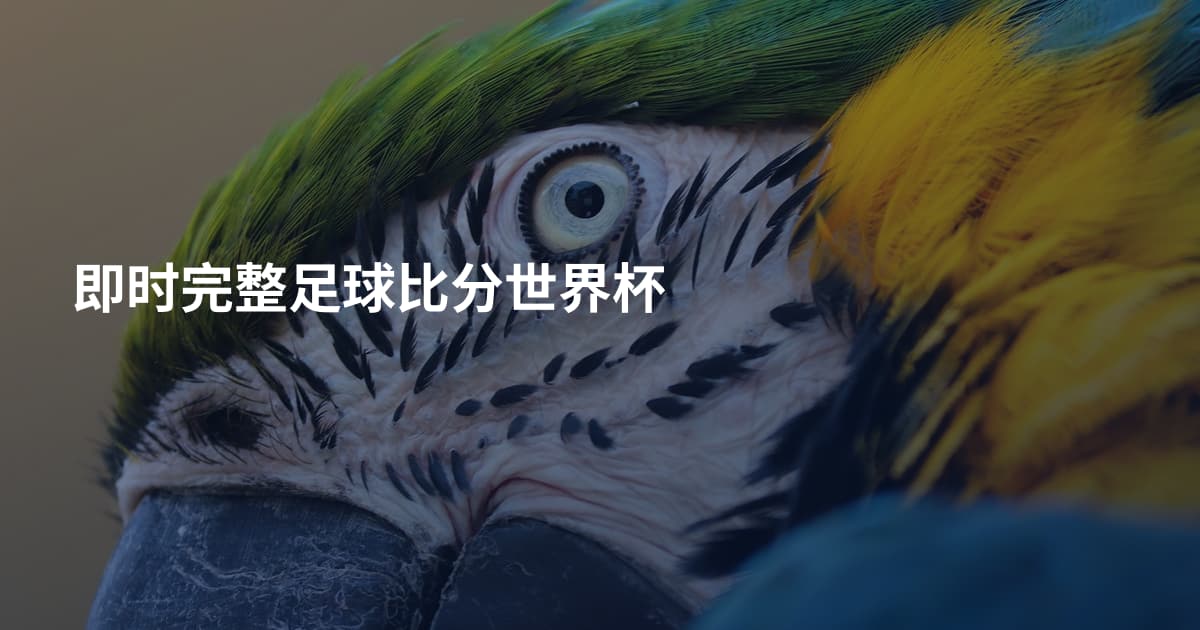 即时完整足球比分世界杯