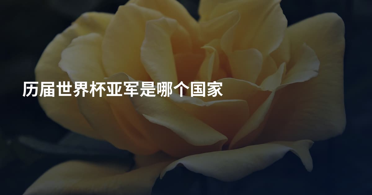 历届世界杯亚军是哪个国家
