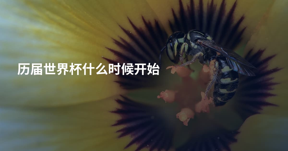 历届世界杯什么时候开始