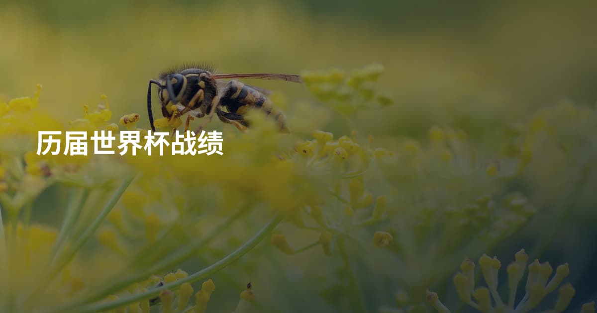 历届世界杯战绩
