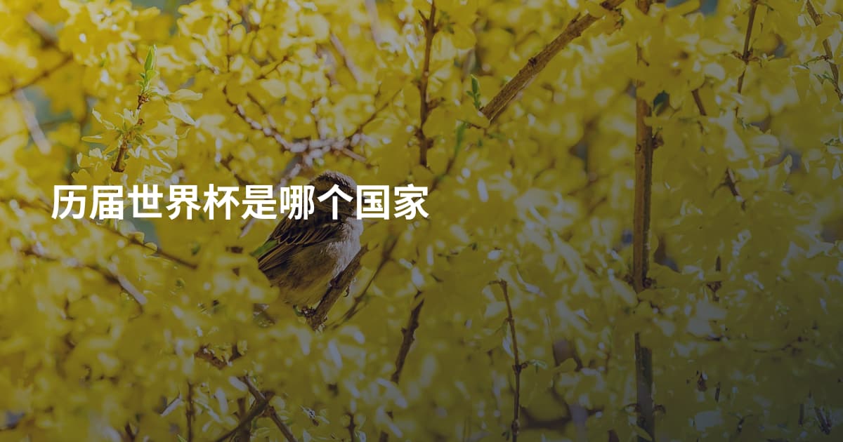 历届世界杯是哪个国家