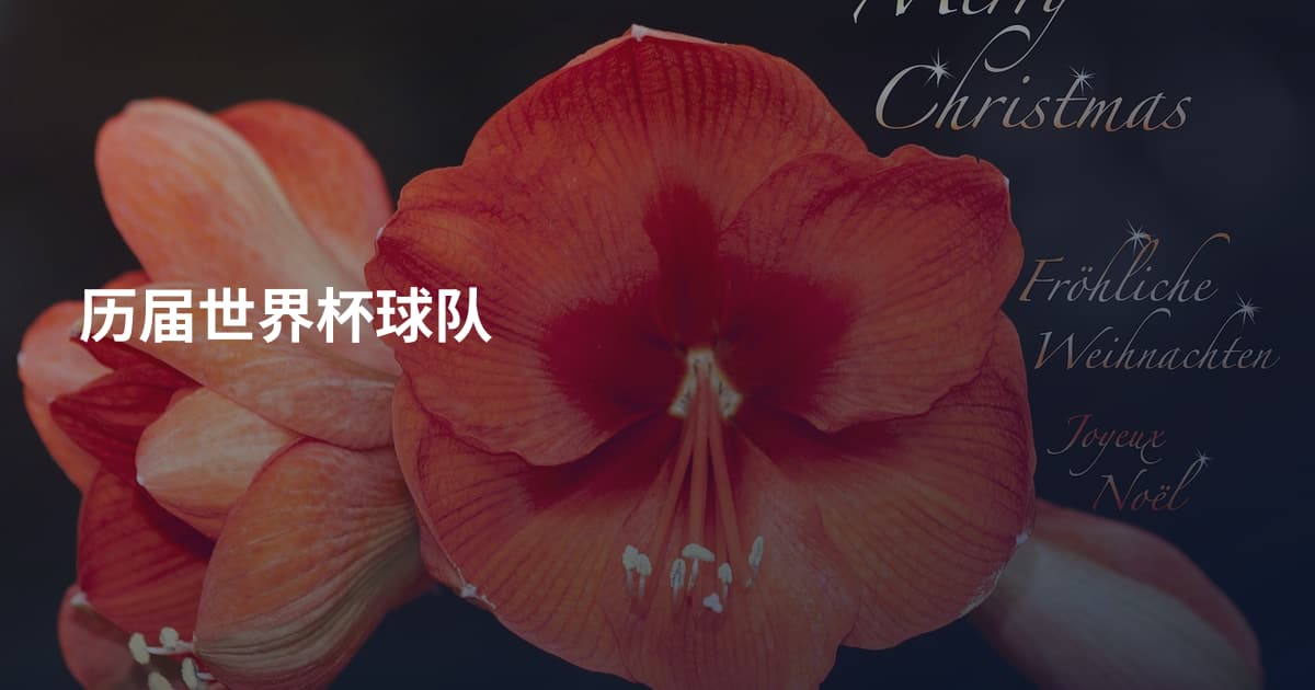 历届世界杯球队