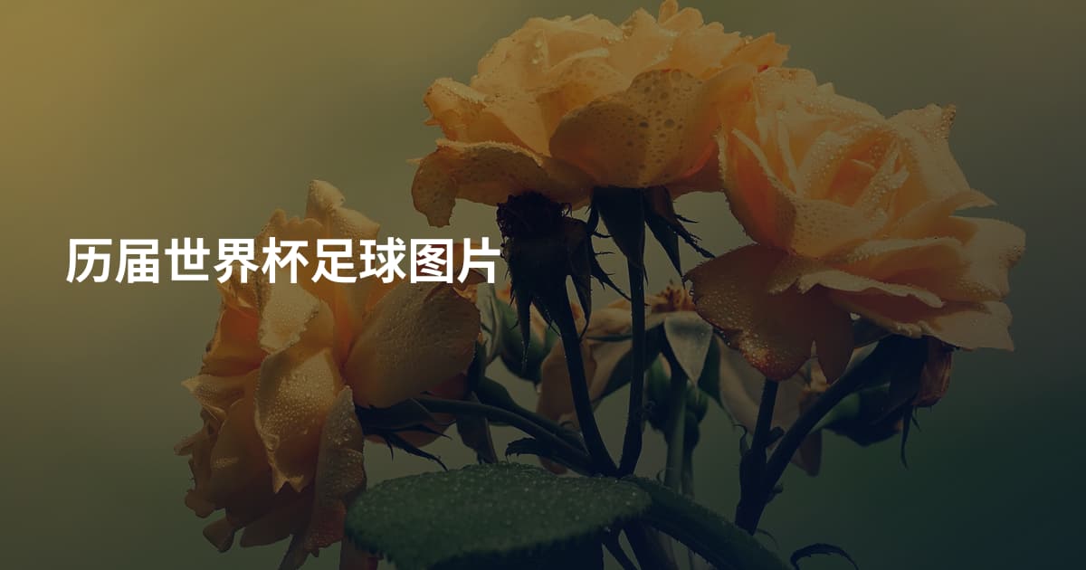 历届世界杯足球图片
