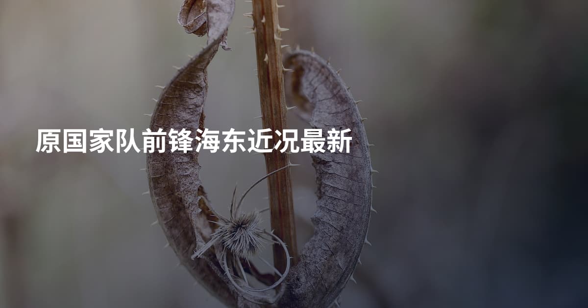 原国家队前锋海东近况最新