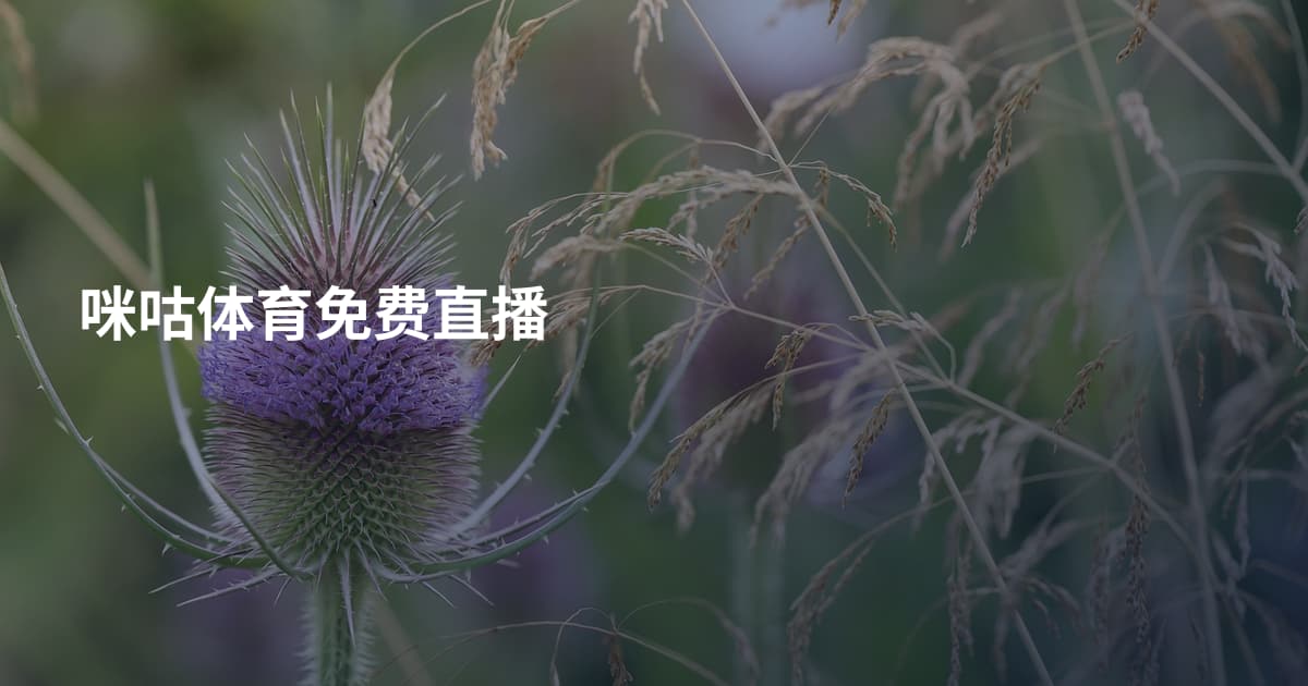 咪咕体育免费直播
