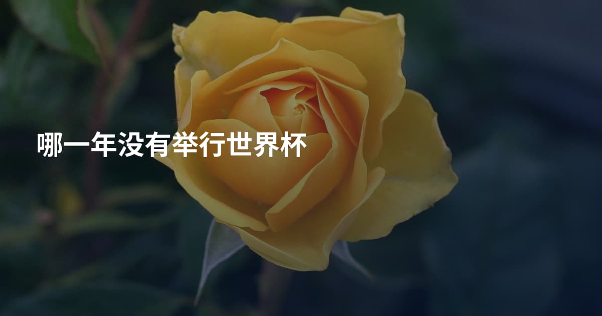 哪一年没有举行世界杯