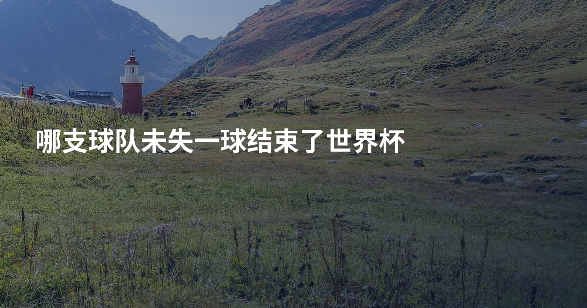 哪支球队未失一球结束了世界杯