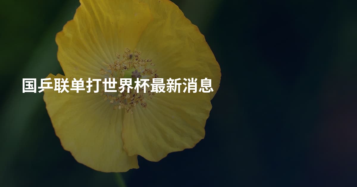 国乒联单打世界杯最新消息