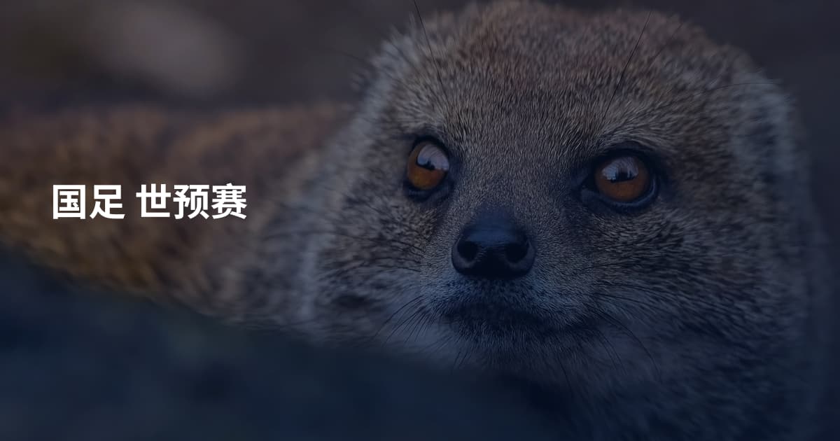 国足 世预赛