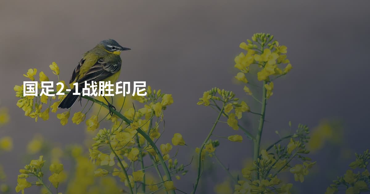 国足2-1战胜印尼