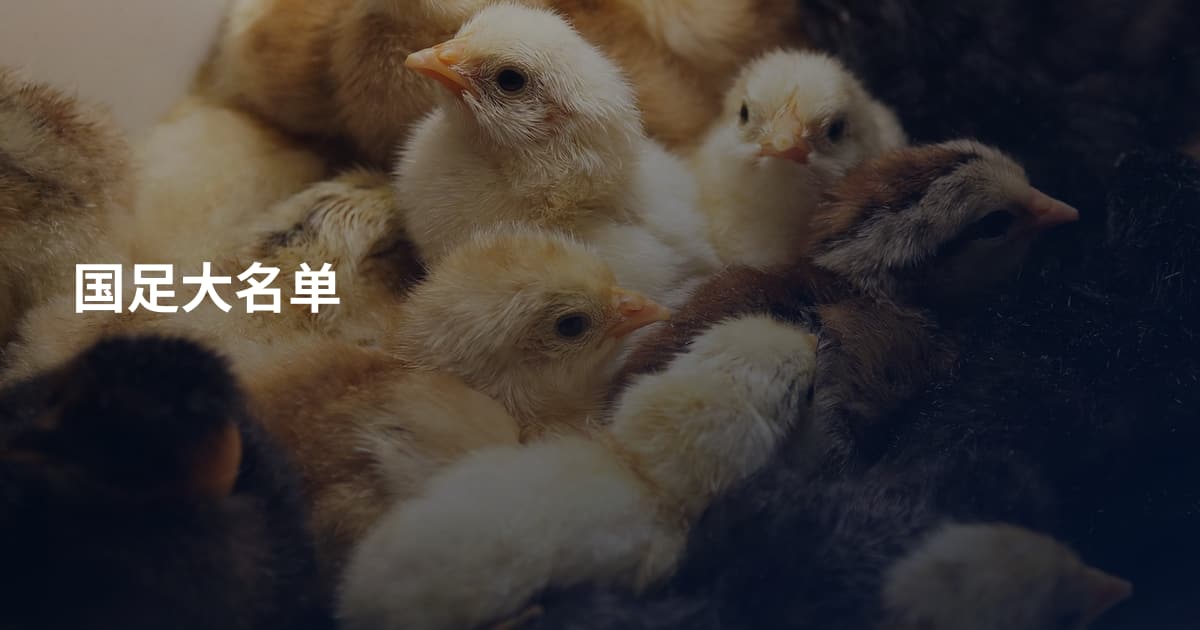 国足大名单