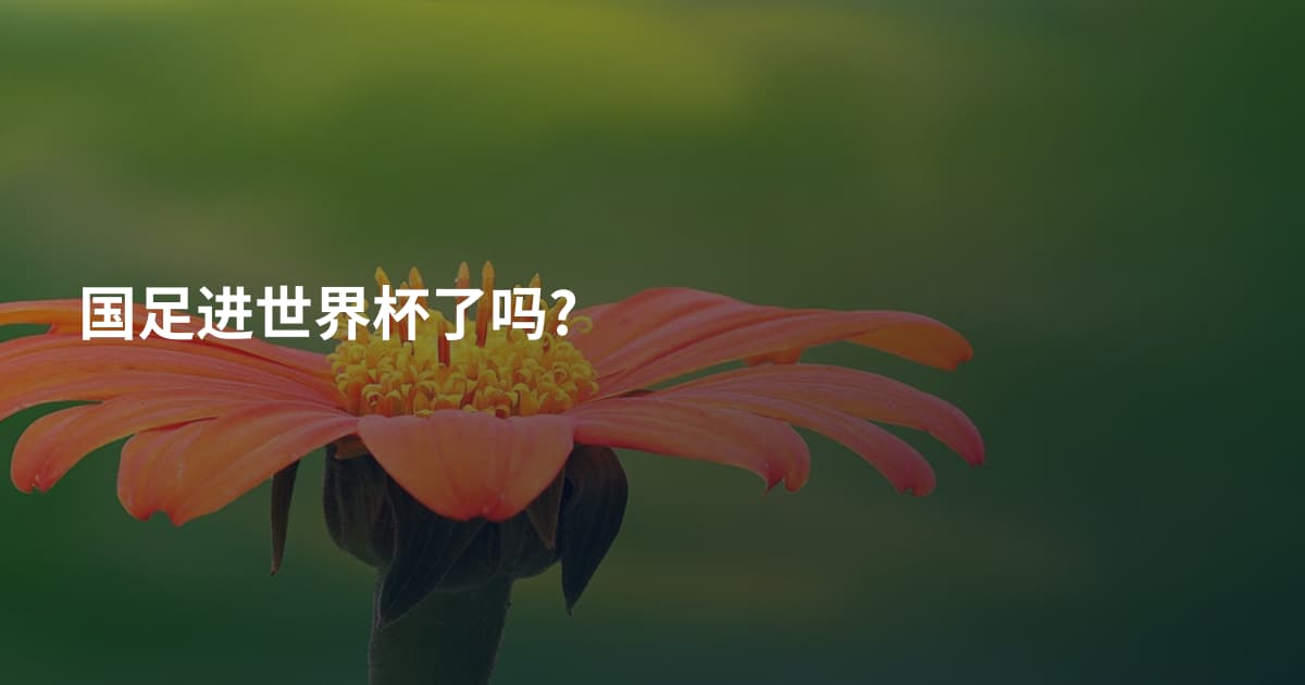 国足进世界杯了吗?