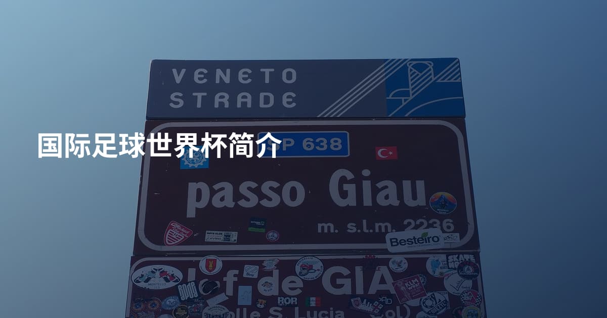 国际足球世界杯简介