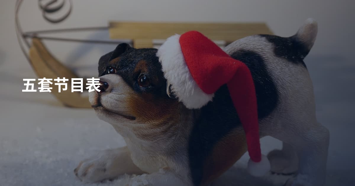 五套节目表