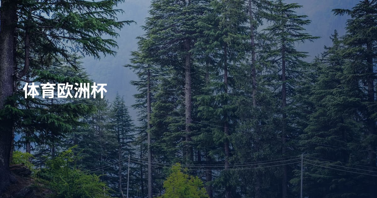 体育欧洲杯