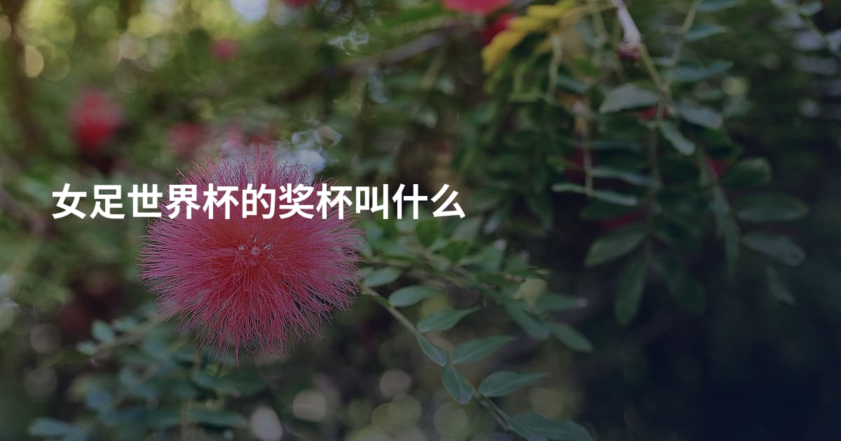 女足世界杯的奖杯叫什么