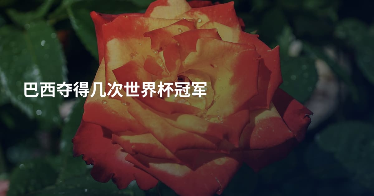 巴西夺得几次世界杯冠军